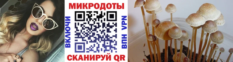 Галлюциногенные грибы Cubensis  Сковородино 
